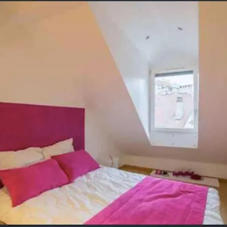 Le Duplex De Notre Dame Апартаменты